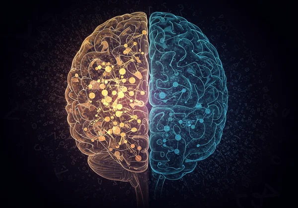 Abstract illustration of a brain processing language differently